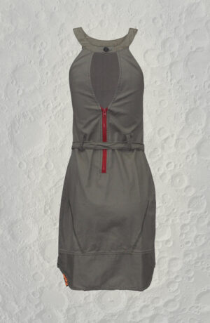 DRESS-2-C-Back